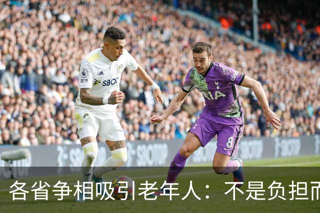 各省争相吸引老年人：不是负担而是巨大的银发经济